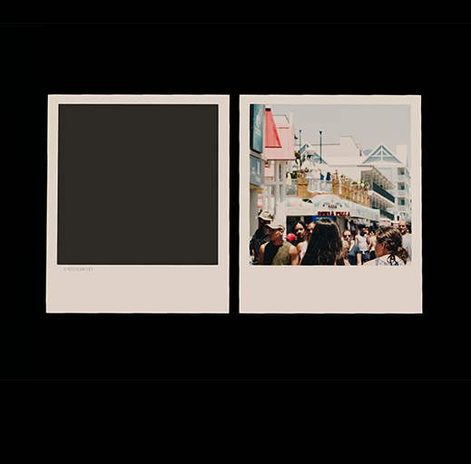 Polaroid-style - Full Perm Mesh 