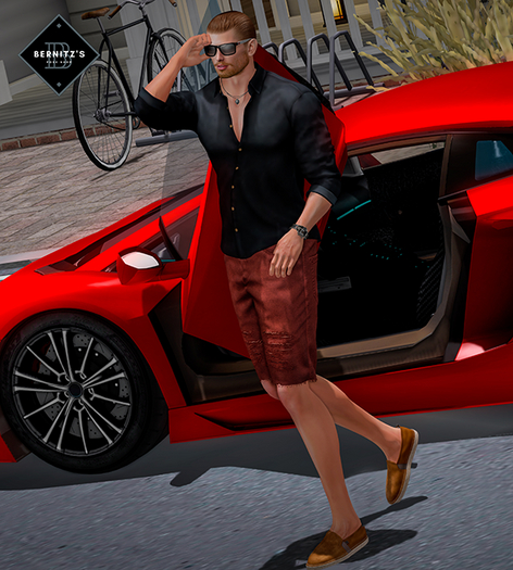 [Bernitz's Poses] - Style