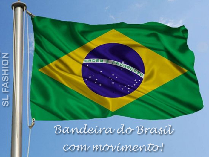 Bandeira do BRASIL com Movimento