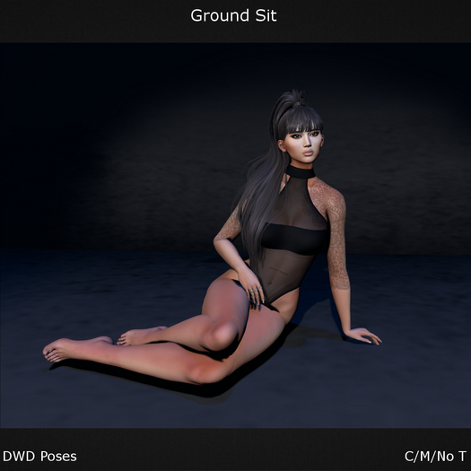 DWD Poses - Ground Sit