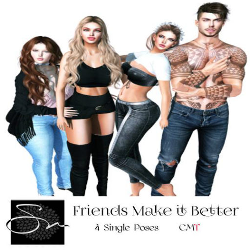 **SN~ Friends Make it Better