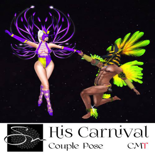 **SN~ His Carnival