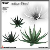 FULL PERM ALOA PLANT
