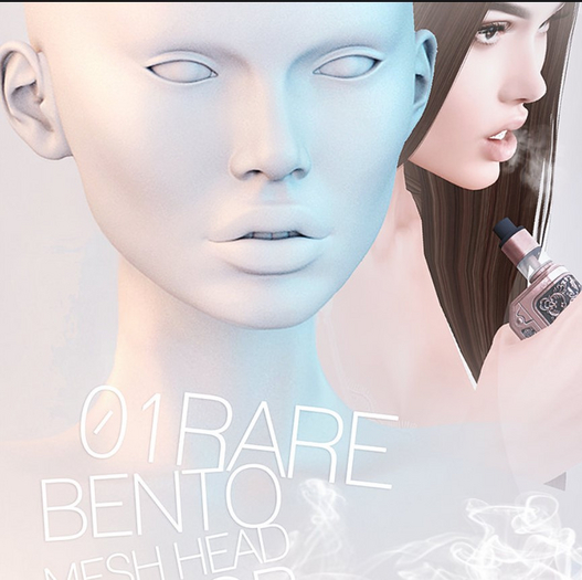 01 Genesis_Head_FLOR Bento RARE