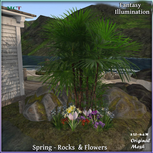 Rocks and Flowers 