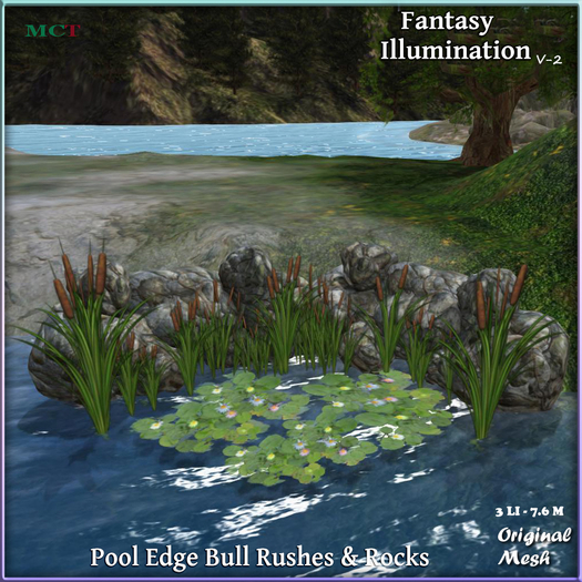 water plants & Rocks