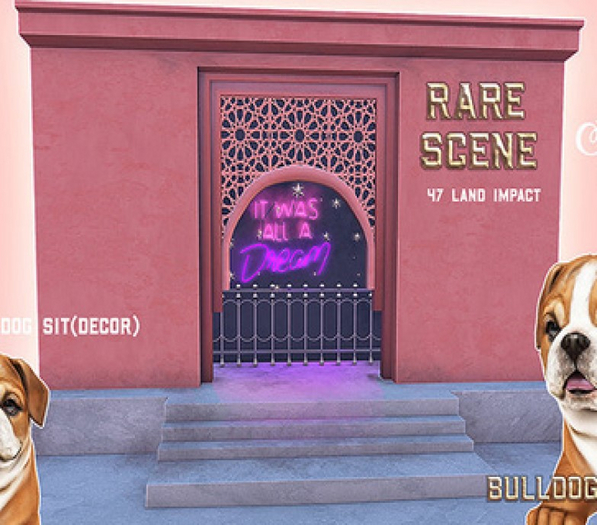 Birdy -  Dreamz - Scene RARE