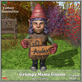 Grumpy Gnome