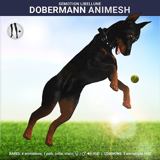 SEmotion Libellune Dobermann Animesh ✰#2 RARE✰ 