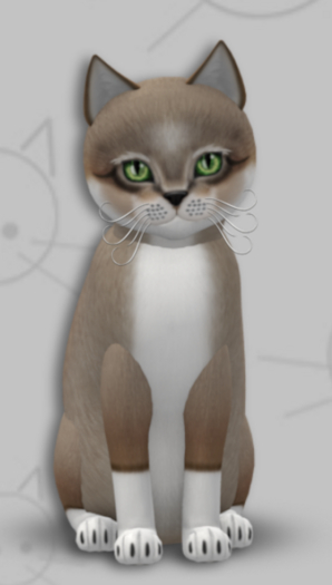 KittyCatS Box - Foxie Cocoa Cream/8T/Female/Forest/Porcelain/Dreamy