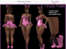 6233 Mesh Pink Bunny Costume