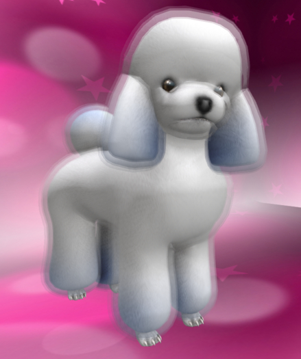 My Sweet Poodle Companion White Blue