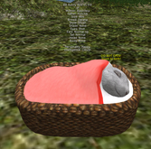 BioBreeds v1.0.0 ♀F