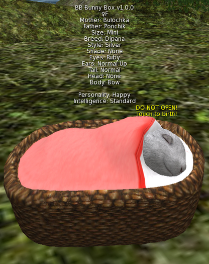 BB Bunny Box ♀F