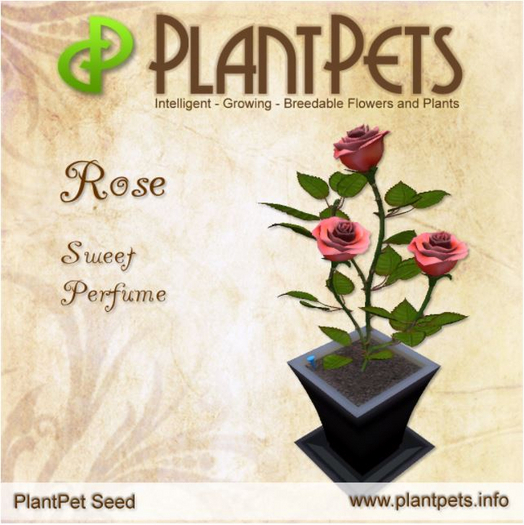 PlantPet Seed [Rose *Sweet Perfume*] RARE
