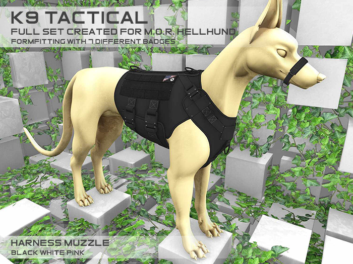 Pace. K9 Tactical