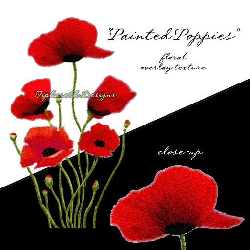 TD "Painted Poppies" floral overlay texture