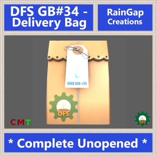 DFS GB#34 - Delivery Bag