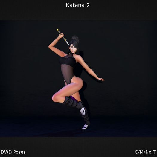 DWD Poses - Katana 2