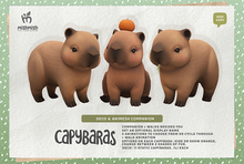 MishMish - Capybaras [Fatpack]