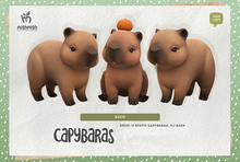 MishMish - Capybara Deco [Boxed]