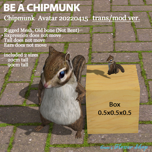 (g.) Chipmunk Avatar 20220415 trans-mod