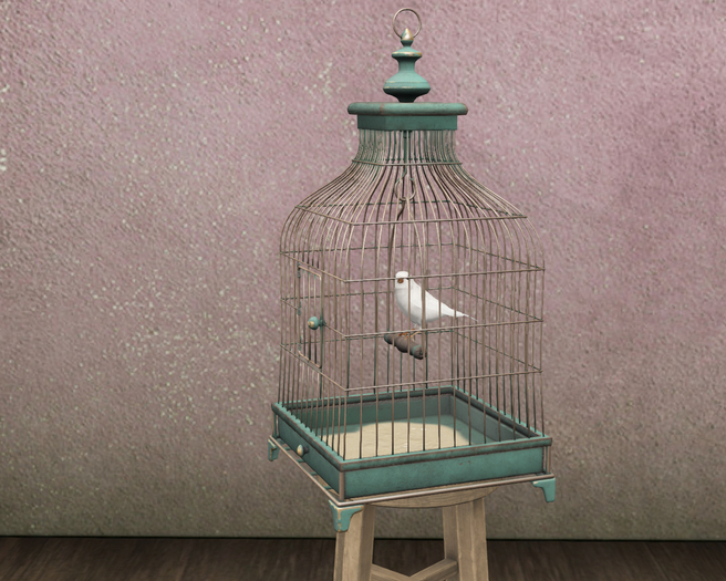 C-  Bird Cage + Canary Animated