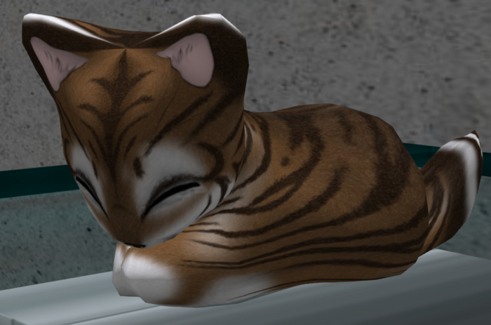 Stray Cats Kitten - Faboo Tiger Chocolate (M)