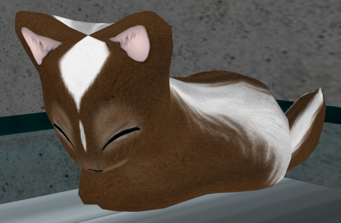 Stray Cats Kitten - Faboo Skunk Chocolate F1 (F)