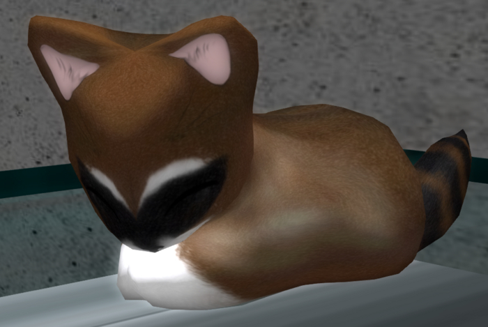Stray Cats Kitten - Faboo Raccoon Chocolate (F)