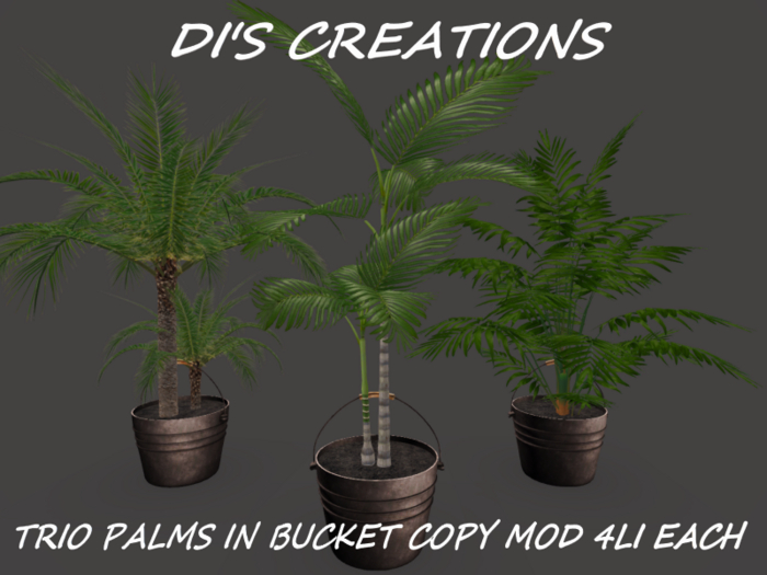 TRIO PALMS IN BUCKET