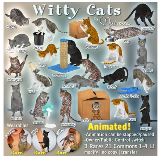 Mutresse-Amused-Witty Cats