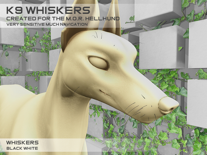 Pace. K9 Whiskers
