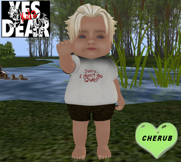 YES DEAR KID's Quiet T 