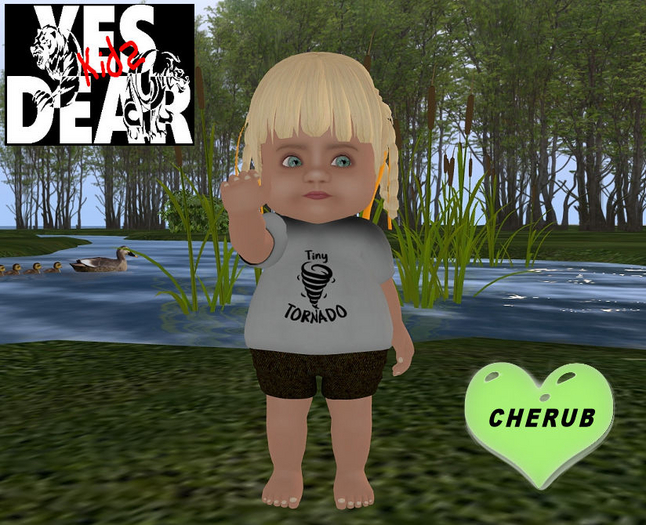 YES DEAR KID's Tornado T 