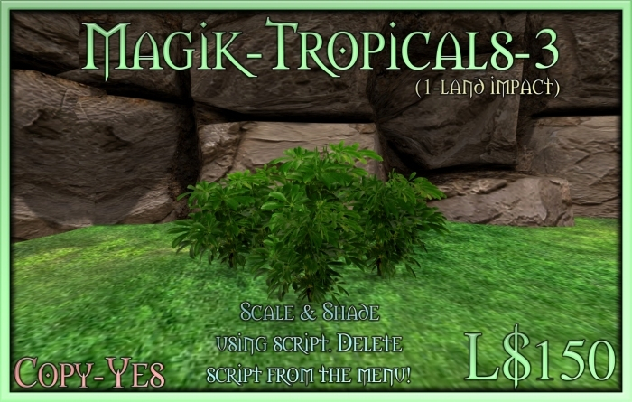 Magik-Tropicals-3 Set SE (box)