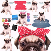 *[Black Bantam] Headband Pug Pack 1 RARE