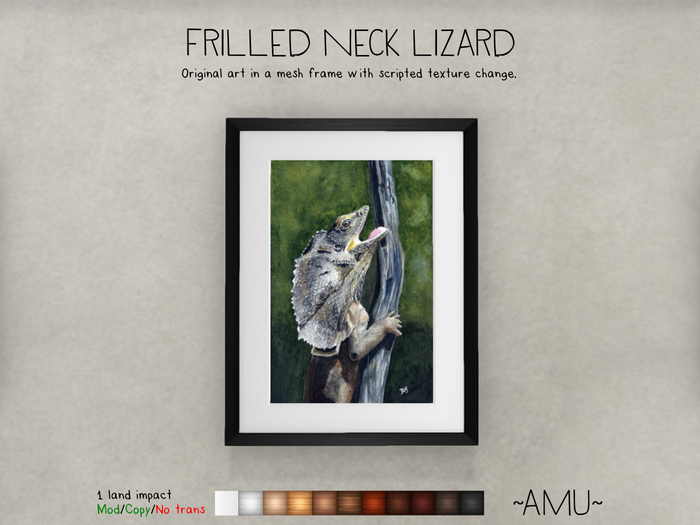 ~AMU~ Frilled Neck Lizard