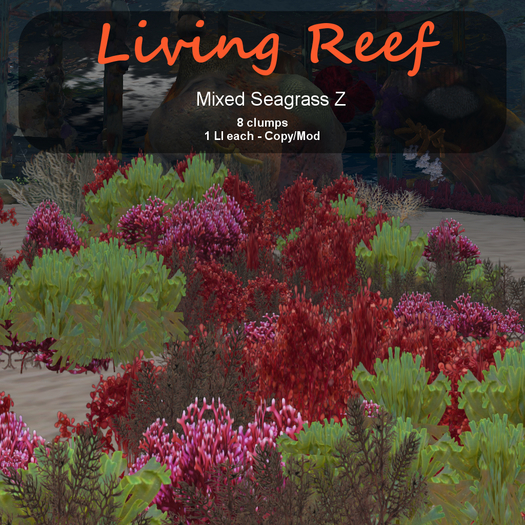 Inochi Reef : Algae "Mixed Seagrass Z"