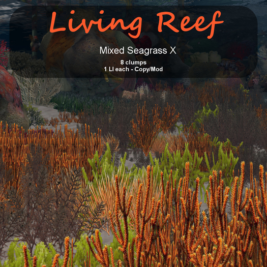 Inochi Reef : Algae "Mixed Seagrass X"