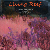 Inochi Reef : Algae "Mixed Seagrass V"