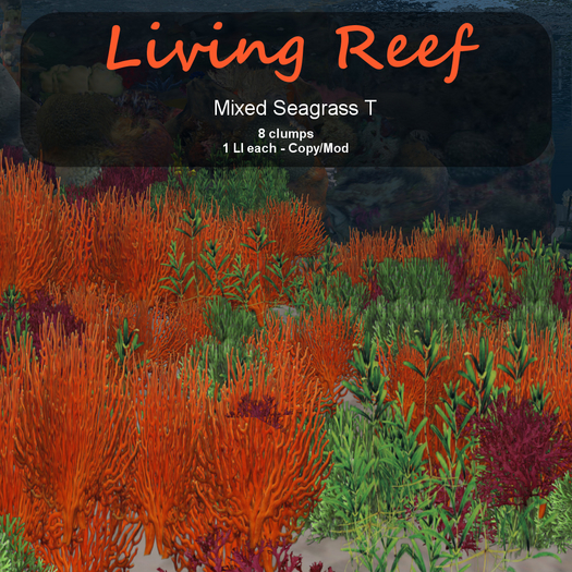 Inochi Reef : Algae "Mixed Seagrass T"