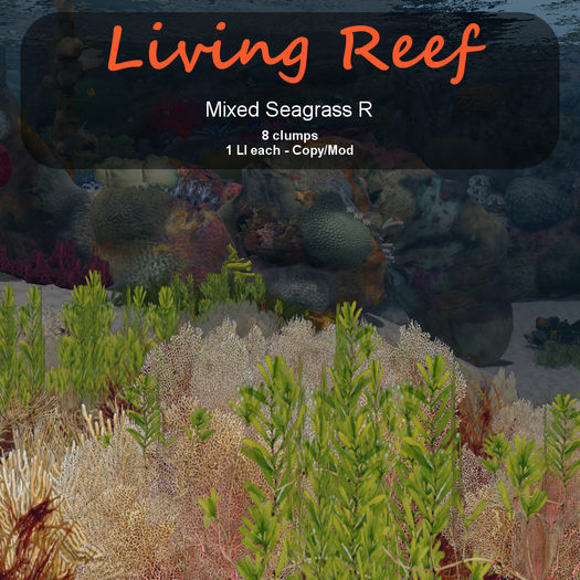 Inochi Reef : Algae "Mixed Seagrass R"