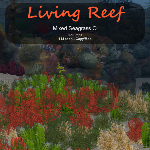 Inochi Reef : Algae "Mixed Seagrass O"