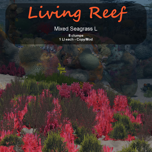 Inochi Reef : Algae "Mixed Seagrass L"