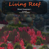 Inochi Reef : Algae "Mixed Seagrass L"