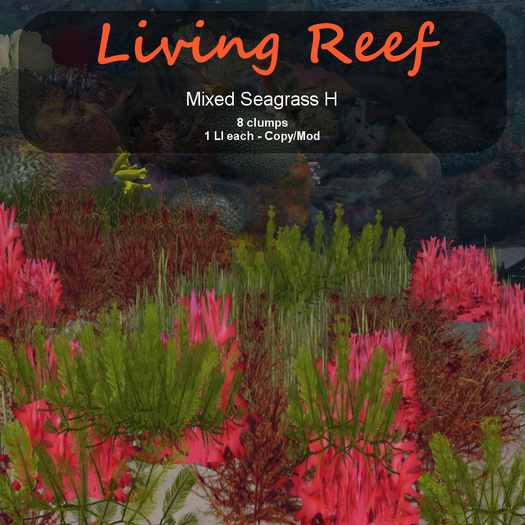 Inochi Reef : Algae "Mixed Seagrass H"