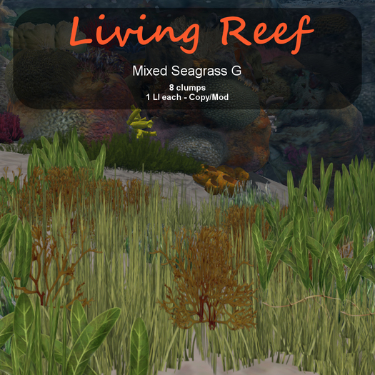 Inochi Reef : Algae "Mixed Seagrass G"