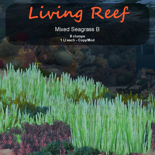 Inochi Reef : Algae "Mixed Seagrass B"