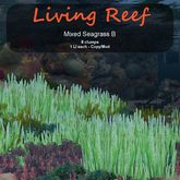 Inochi Reef : Algae "Mixed Seagrass B"